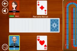 板球(cribbage)